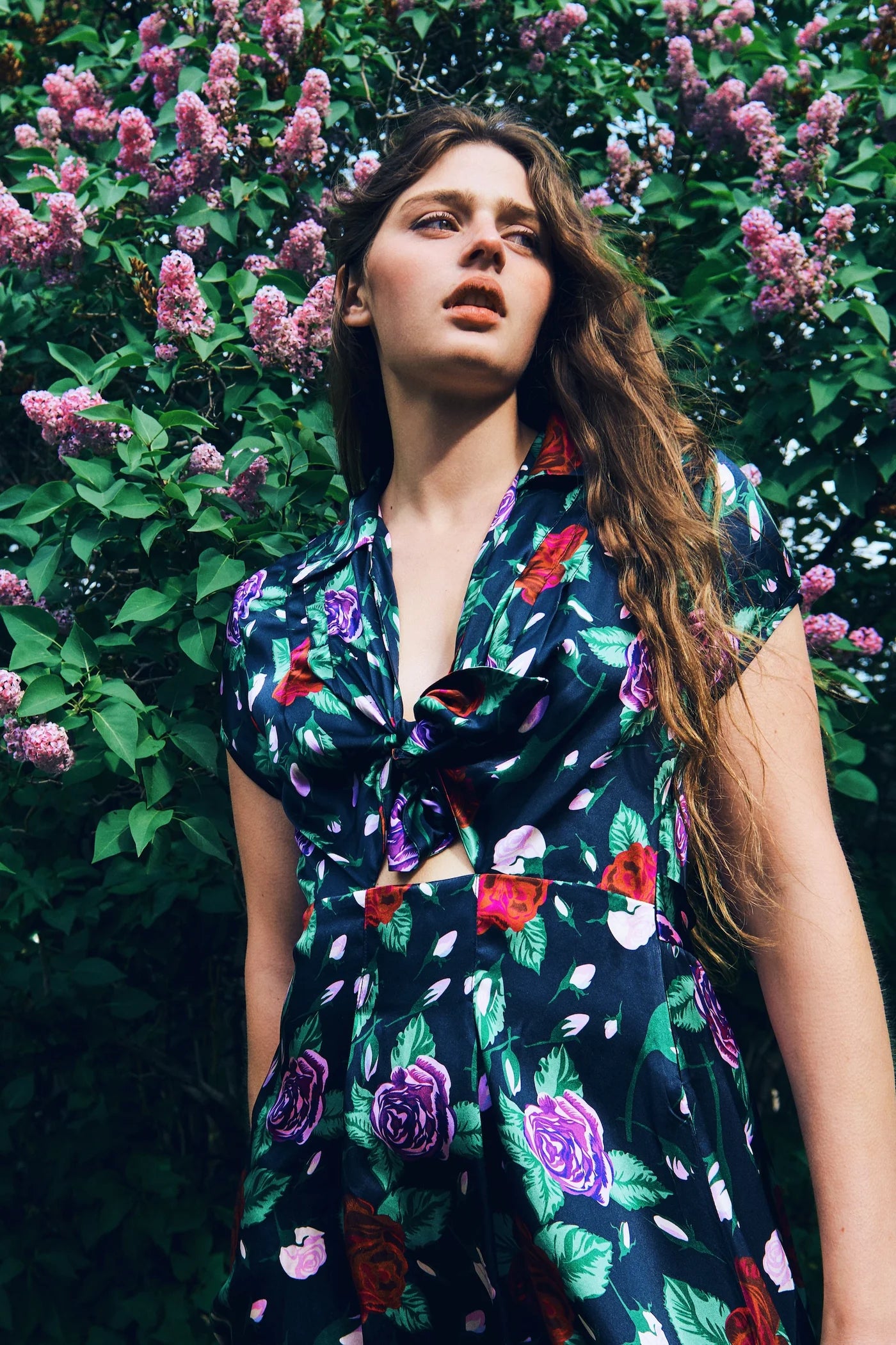 Clark Dress - Gothic Rose