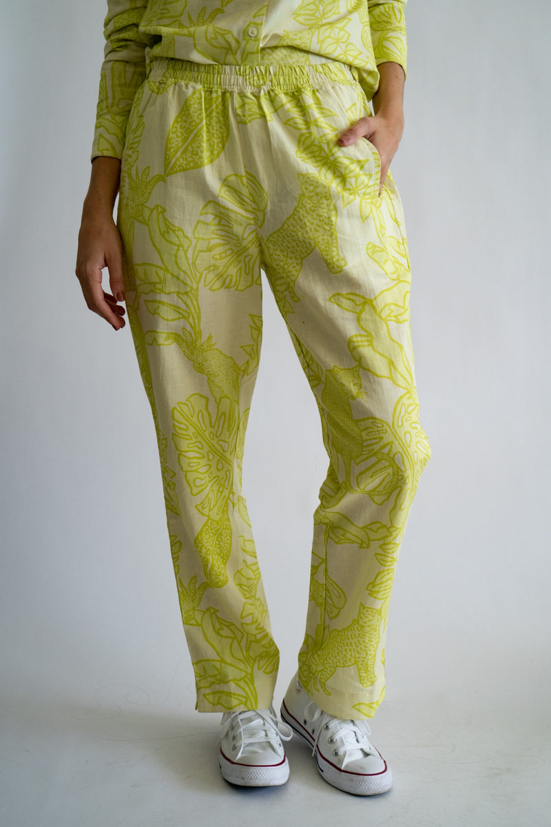 Pant - Life in Colors - Lime