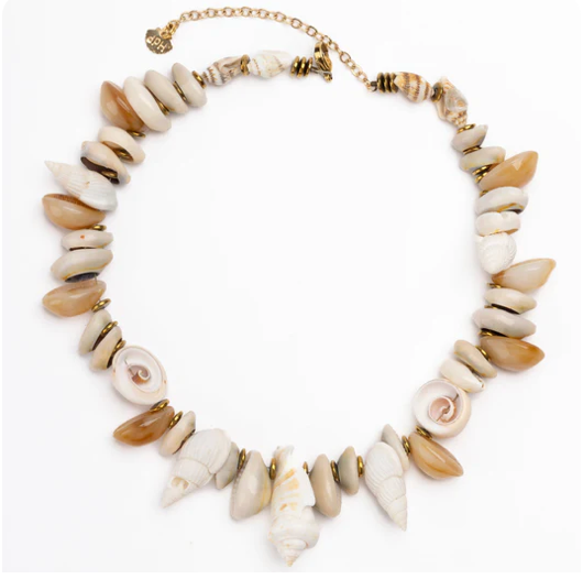 MAR MOLTI COWRIES